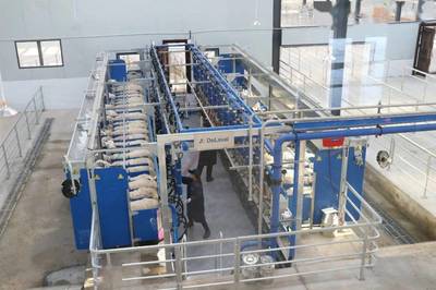 聚力奶綿羊發(fā)展，培育“乳肉”兼用新品種，助力肥料生產(chǎn)新篇章